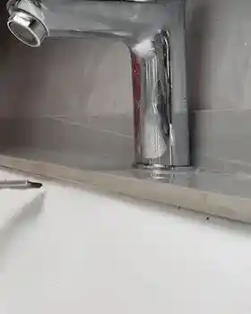 Scrubbing Bristle Brush