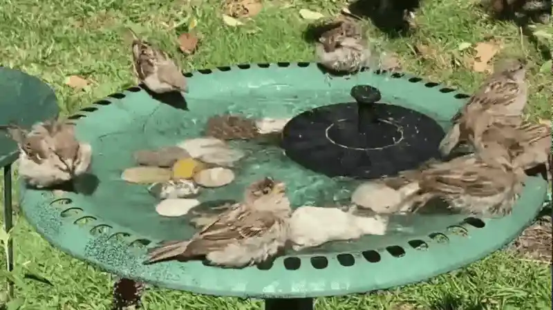 Solar fountain in a garden