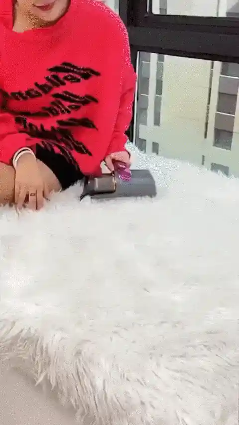 Powerful Mite Removal